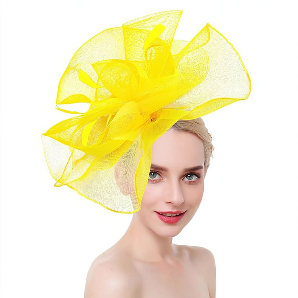 Retro Mesh Feather Fascinator  - Women'S Fashion Kentucky Derby review and price