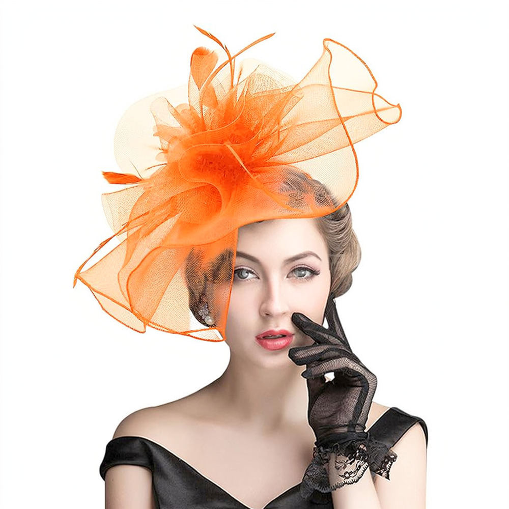 Retro Mesh Feather Fascinator  - Women'S Fashion Kentucky Derby review and price